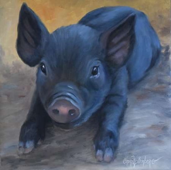 Coles Baby Pig Canvas Art - Cheri Wollenberg (24 x 24)