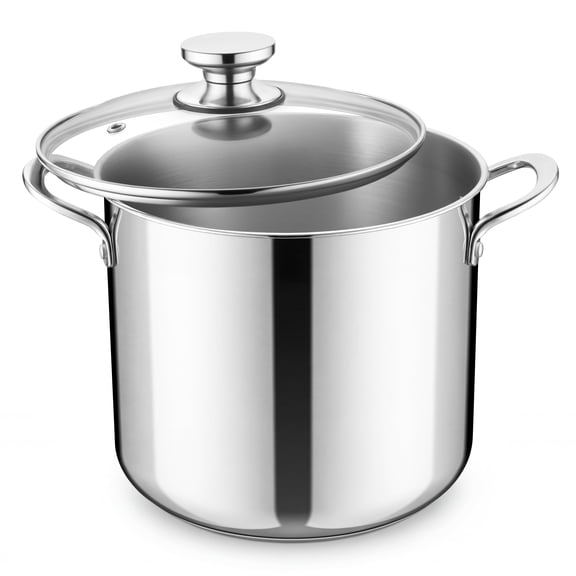 Coliware 10QT Stainless Steel Stock Pot with Glass Lid, Large Cooking Soup Pot with 3-Ply Bottom Compatible with Gas Electric Ceramic Induction, Kitchen Cookware & Dishwasher Safe