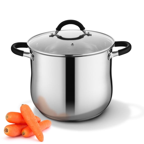 Coliware Stainless Steel 10-Quart Stock Pot with Glass Lid, Food-Grade Induction Soup Pot with Tri-Ply Bottom & Dual Heatproof Handles, Cookware Compatible with All Stoves for Pasta, Dishwasher Safe