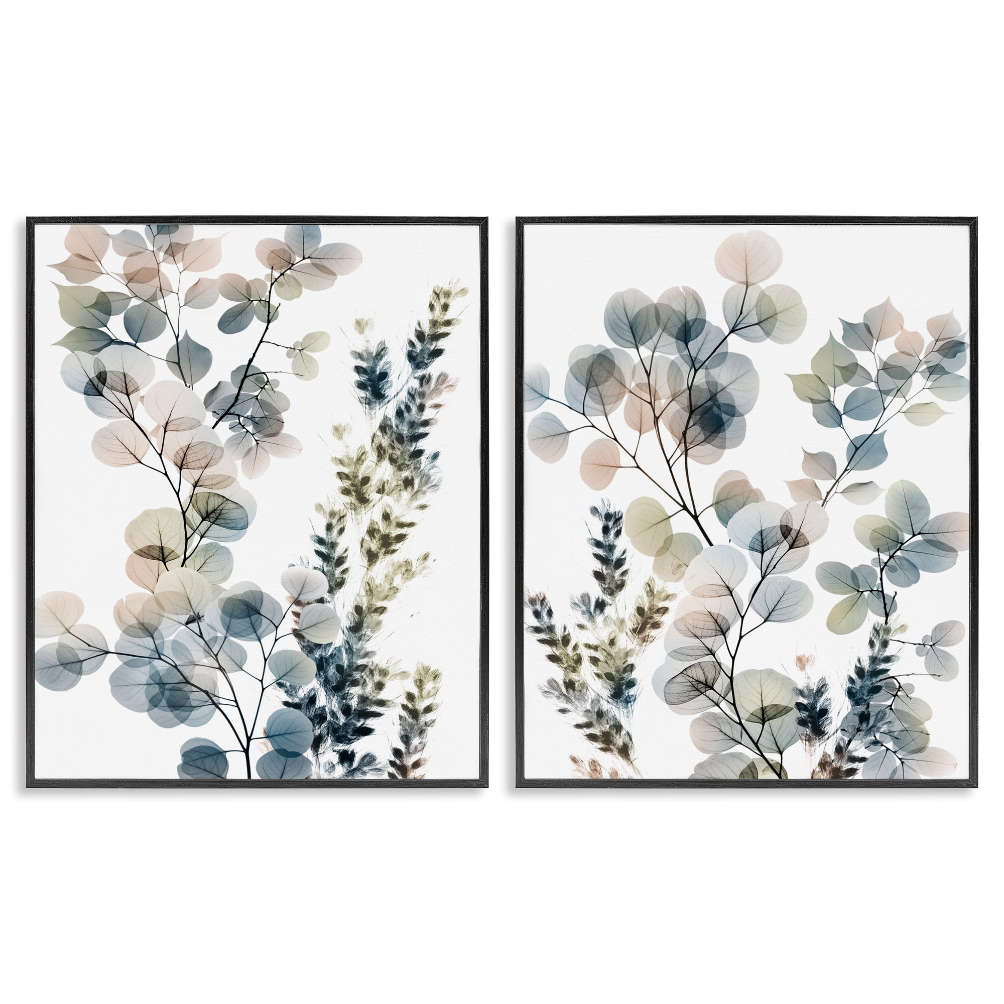Translucent Botanical Collage 11 x 14 Black Framed Canvas Art Print