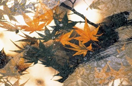 Collage of green and pale orange leaves white paper flower and abstract rocks Canvas Art - Panoramic Images (36 x 24)