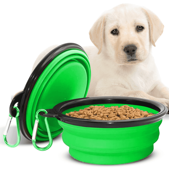 Chef Kitty Collapsible Small Plastic Food & Water Bowl with Carabiner for Dogs, Green