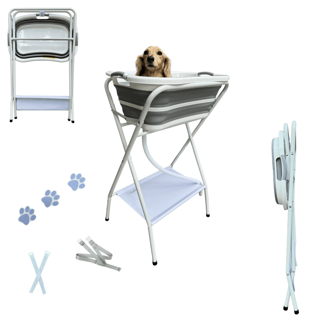 View of Collapsible Elevated Pet Bathtub, Foldable Washing Station for Small to ...