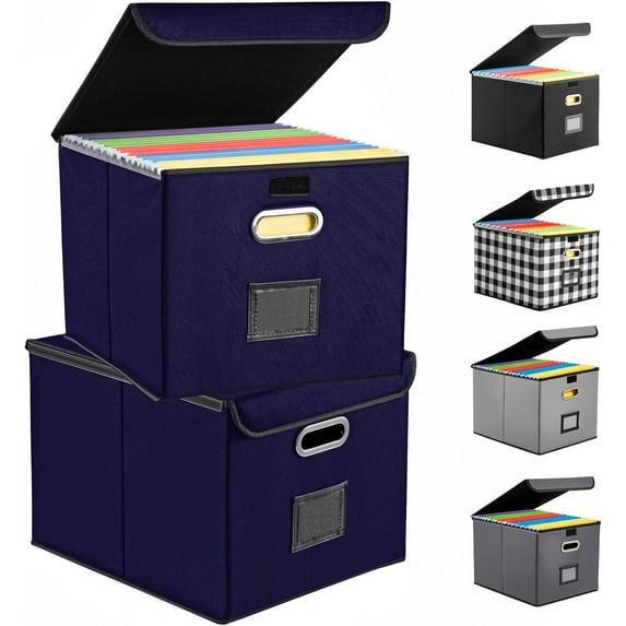 Collapsible File Box with Lid & Plastic Slide - Hanging Document ...