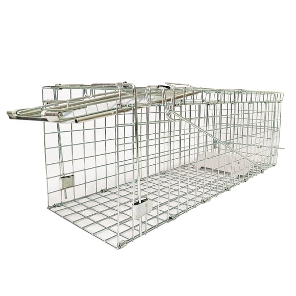 Rabbit Traps
