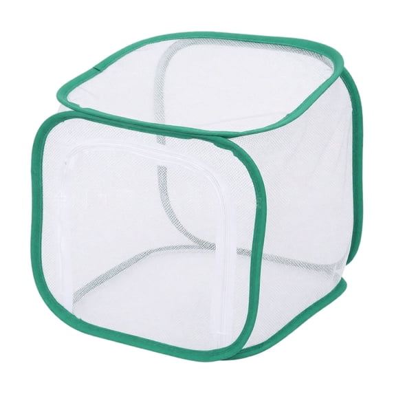 Collapsible Insect Habitat Cage 30x30x30cm Green Trim White Mesh Pop Up Cage with Zipper for Outdoor Use