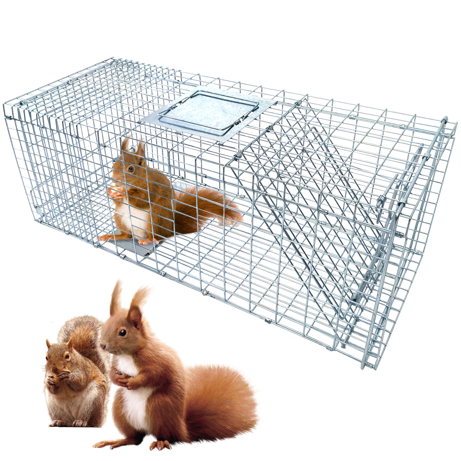 Collapsible Live Animal Trap, Easy to Set and Release, Heavy Duty 37 ...
