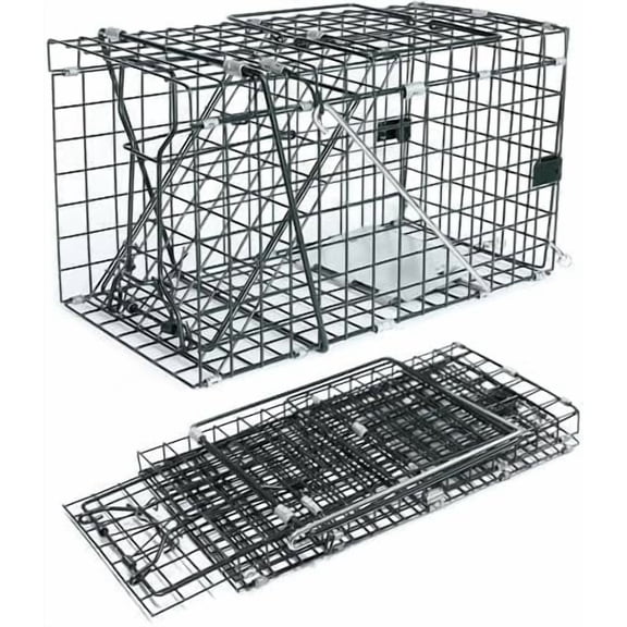 Collapsible Live Trap 14in Small Animal Trap Cage for Red Squirrels, Adult Rats, and Small Weasels with 1 Mesh Wire