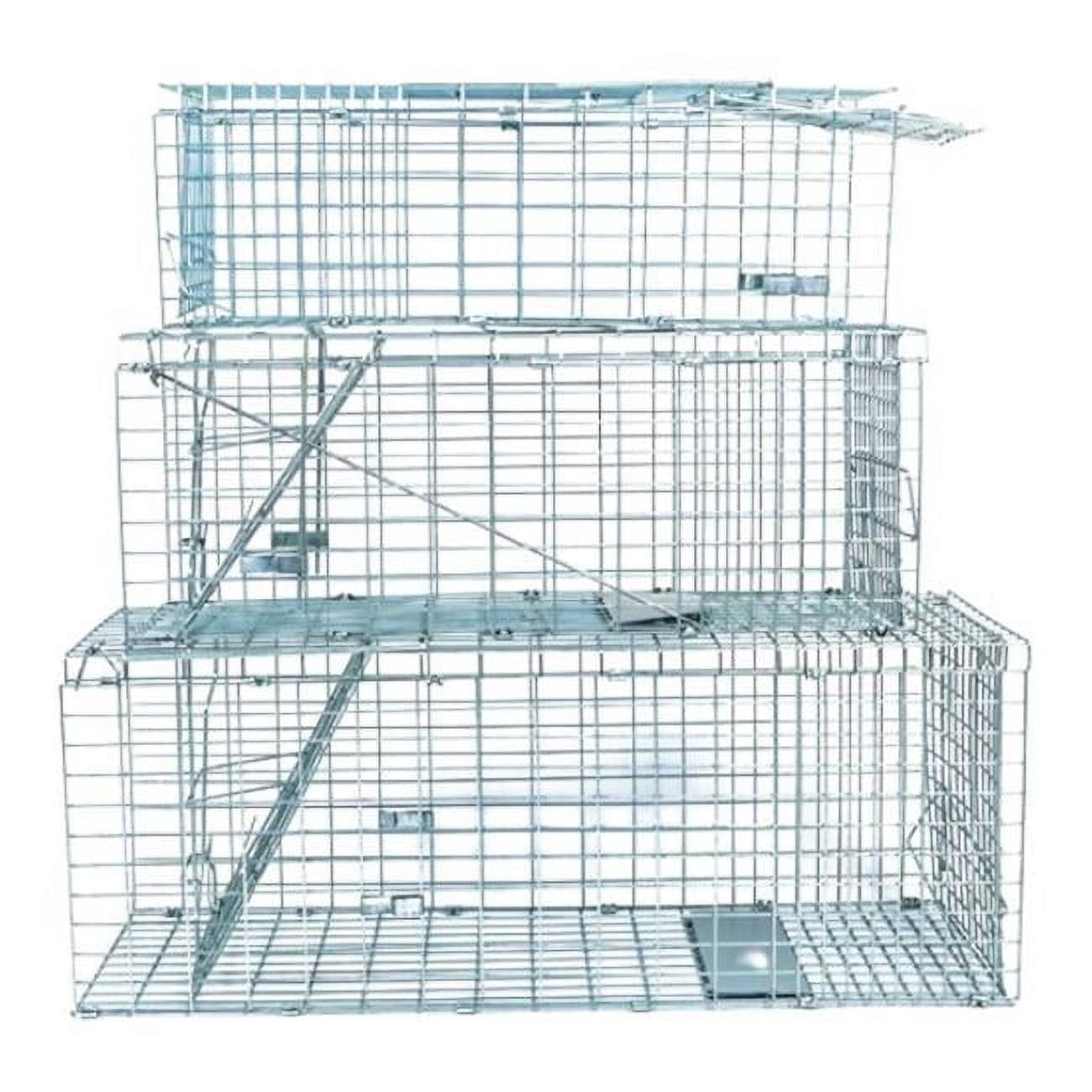 Collapsible Live Trap - Medium