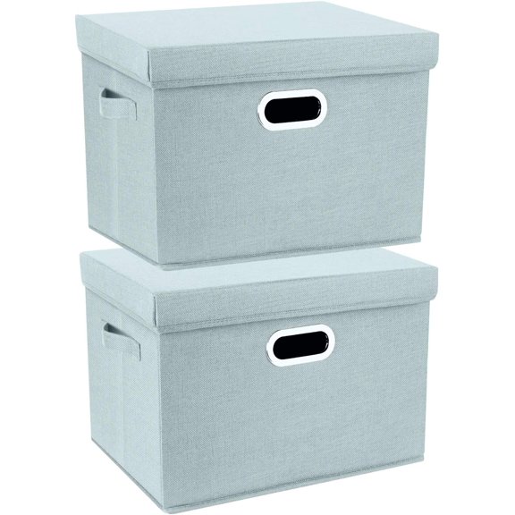 Collapsible Storage Bins With Lids 2-Pack Large Aqua Spring