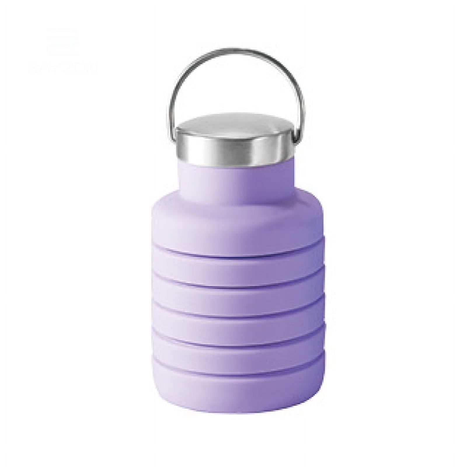 Collapsible Purple Water Bottle