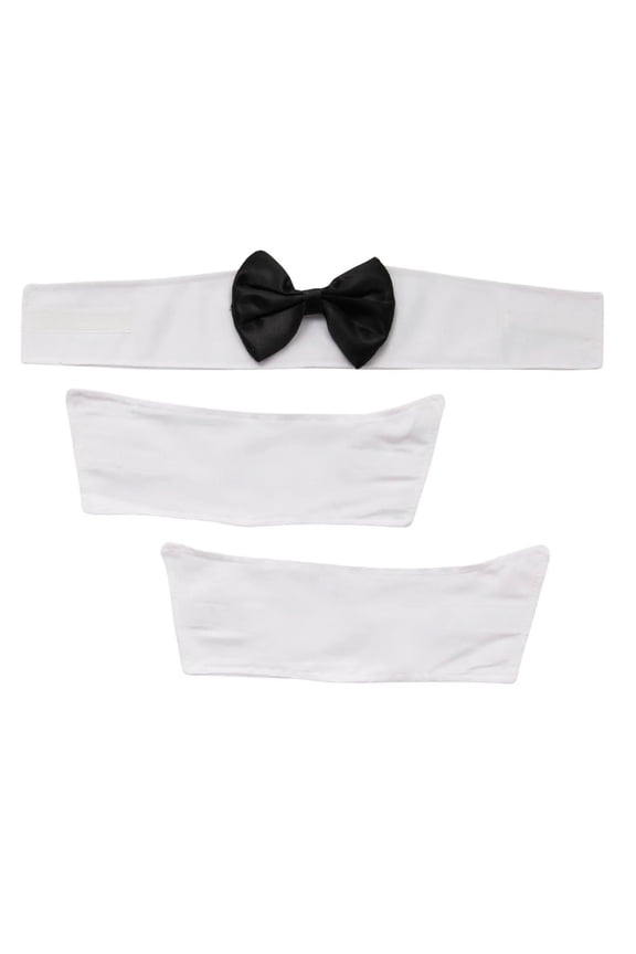 Collar and Cuffs Set Adult Halloween Accessory