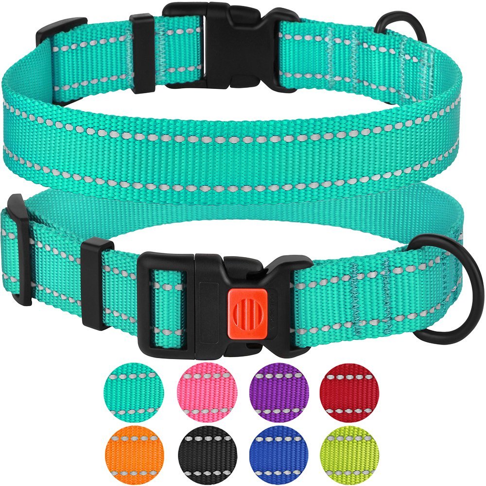 CollarDirect Reflective Dog Collar Safety Nylon Collars for Medium Dogs with Buckle, Mint Green - image 1 of 7