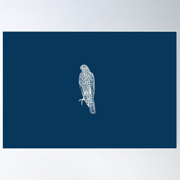 Collared Sparrowhawk White Design Poster Wall Art, Modern Wall Decor For Living Room Bedroom, 8x12 UNFRAMED