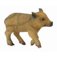thumbnail image 1 of CollectA 88365 Wild Piglet Walking - Wildlife Hog Animal Figurine Toy Gift - Pack of 12, 1 of 1
