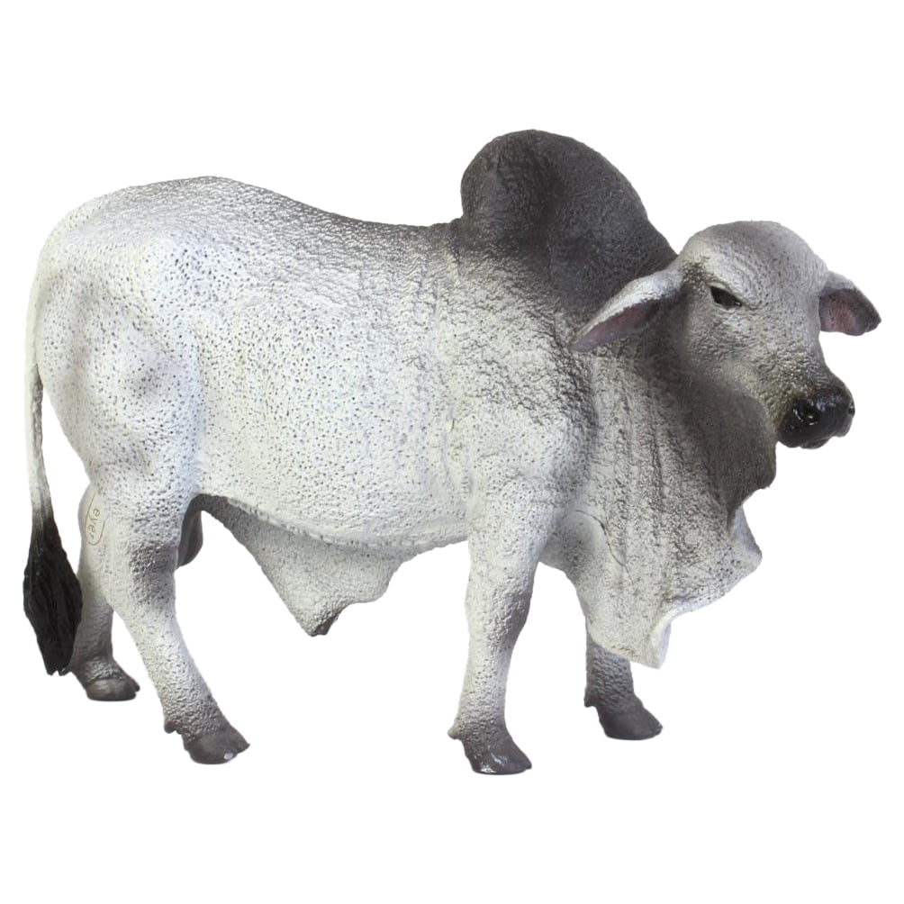 CollectA 88579 Grey Polled Brahman Bull, 5.3