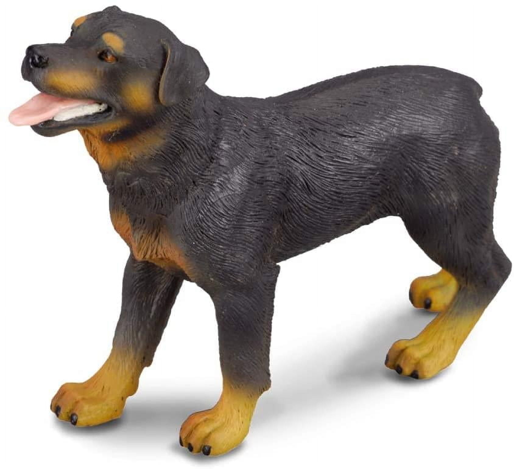 Rottweiler dickes 30インチ cootie gdc kj 降谷 CollectA Cats & Dogs Collection Miniature Figure | Rottweiler