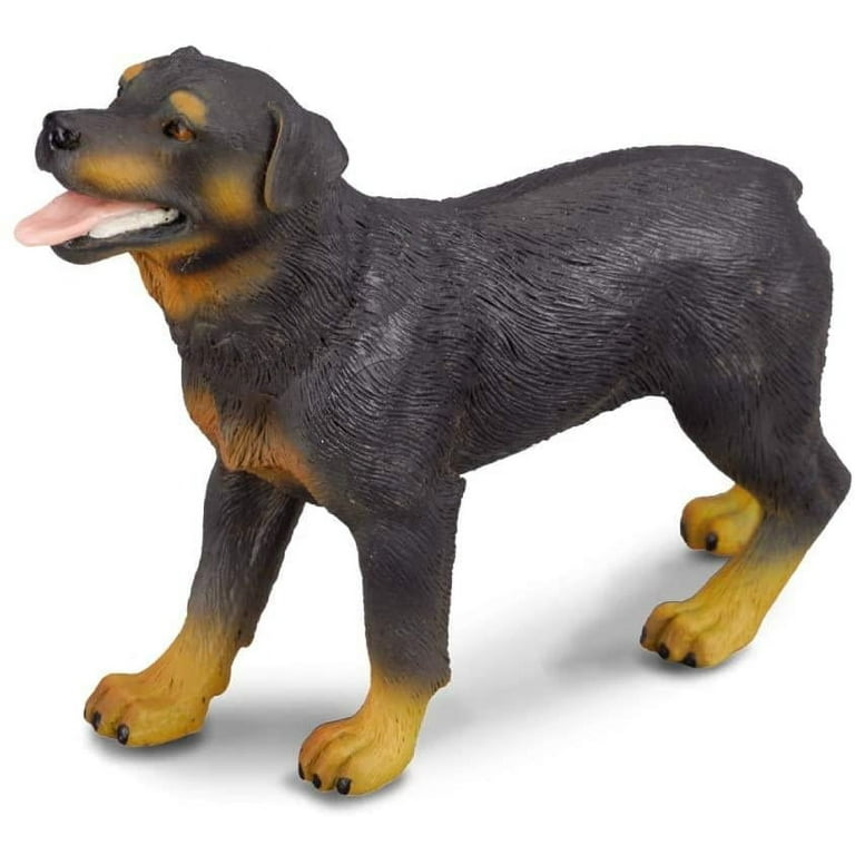 その他 CollectA Rottweiler Figure 6g7v4d0 CollectA Cats & Dogs Collection Miniature Figure | Rottweiler
