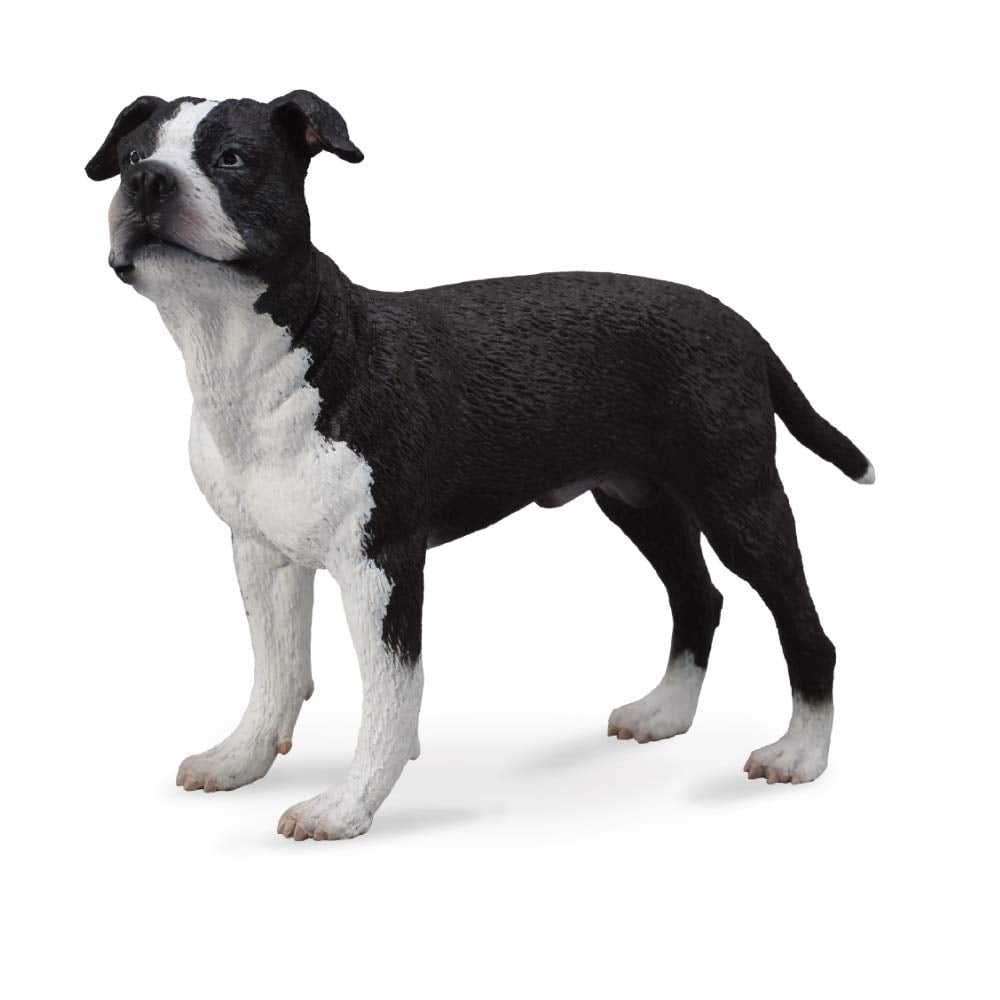 CollectA Black and White American Staffordshire Terrier Toy Figurine
