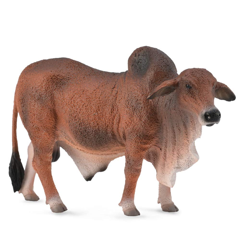 CollectA Red Brahman Bull Toy Figure, 5.1"L x 3.3"H