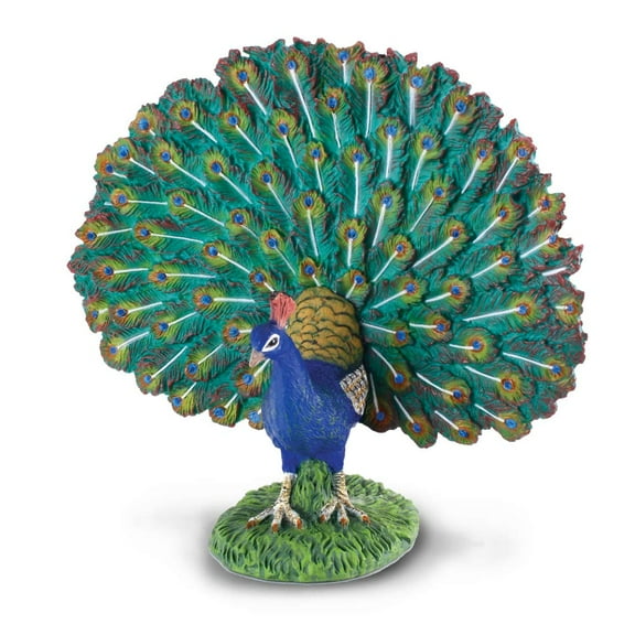 CollectA Farm Life Peacock Toy Figure - Authentic Hand Painted Model, 4"L x 3.5"H