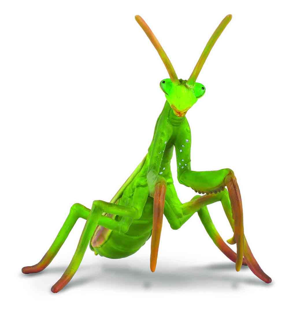 mantis sex toy Unique Touch Sex Stuff Set main image 1