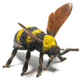 thumbnail image 1 of CollectA Wildlife Collection Miniature Figure | Bumble Bee, 1 of 3