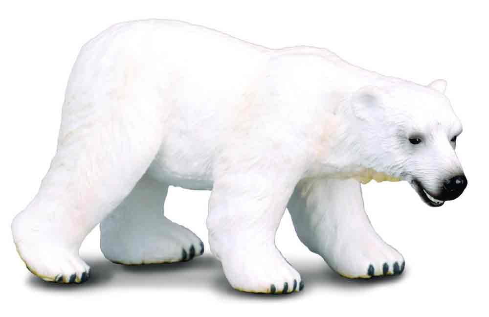 Breyer Animal Creations BYR-88214-C CollectA Wildlife Collection