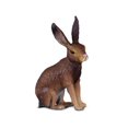 thumbnail image 1 of Collecta Hare Toy Figure, 1 of 2