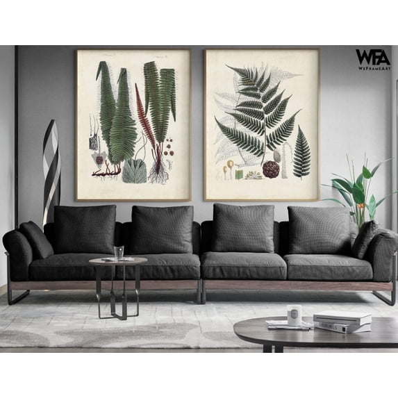 Collected Ferns V and VI, Set of 2 Vintage Rustic Fern Branch Poster, Last Minute Gift Idea, Extra Large Lobby Decor, Fern Bathroom Wall Art