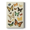 thumbnail image 1 of Collected Flutter I Premium Gallery Wrapped Canvas - Ready to Hang, 1 of 9