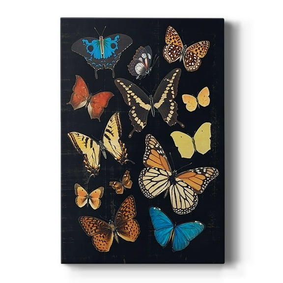Collected Flutter IV Premium Gallery Wrapped Canvas - Ready to Hang