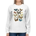 thumbnail image 1 of Collected Flutter Ii Sweatshirt Women -Victoria Barnes Designs, Female 3X-Large, 1 of 4