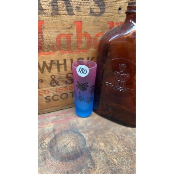 Collectible Shot Glass - Ft. Lauderdale