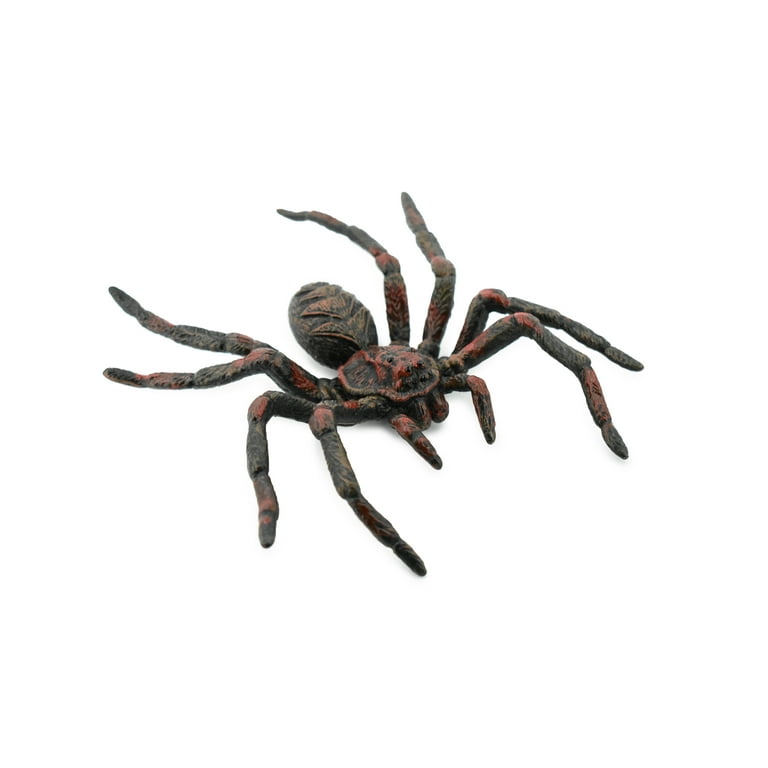 Collectible Wildlife Gifts Educational Realist Arachnida Spider, 5