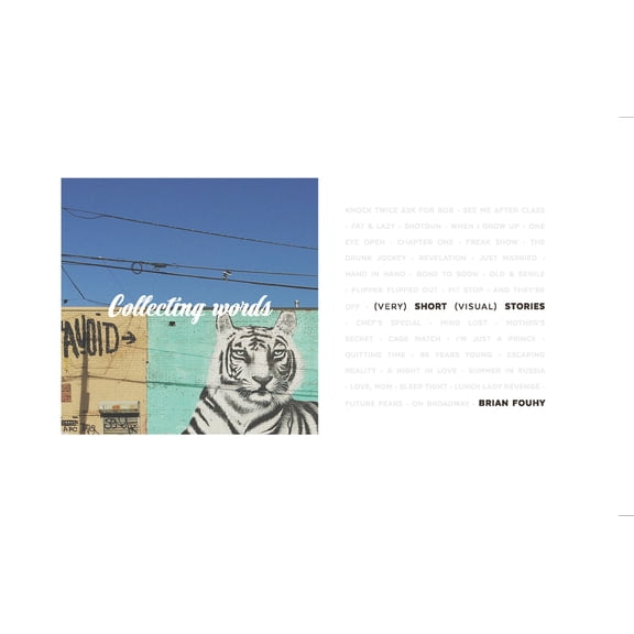Collecting Words: Short Visual Stories, (Paperback)