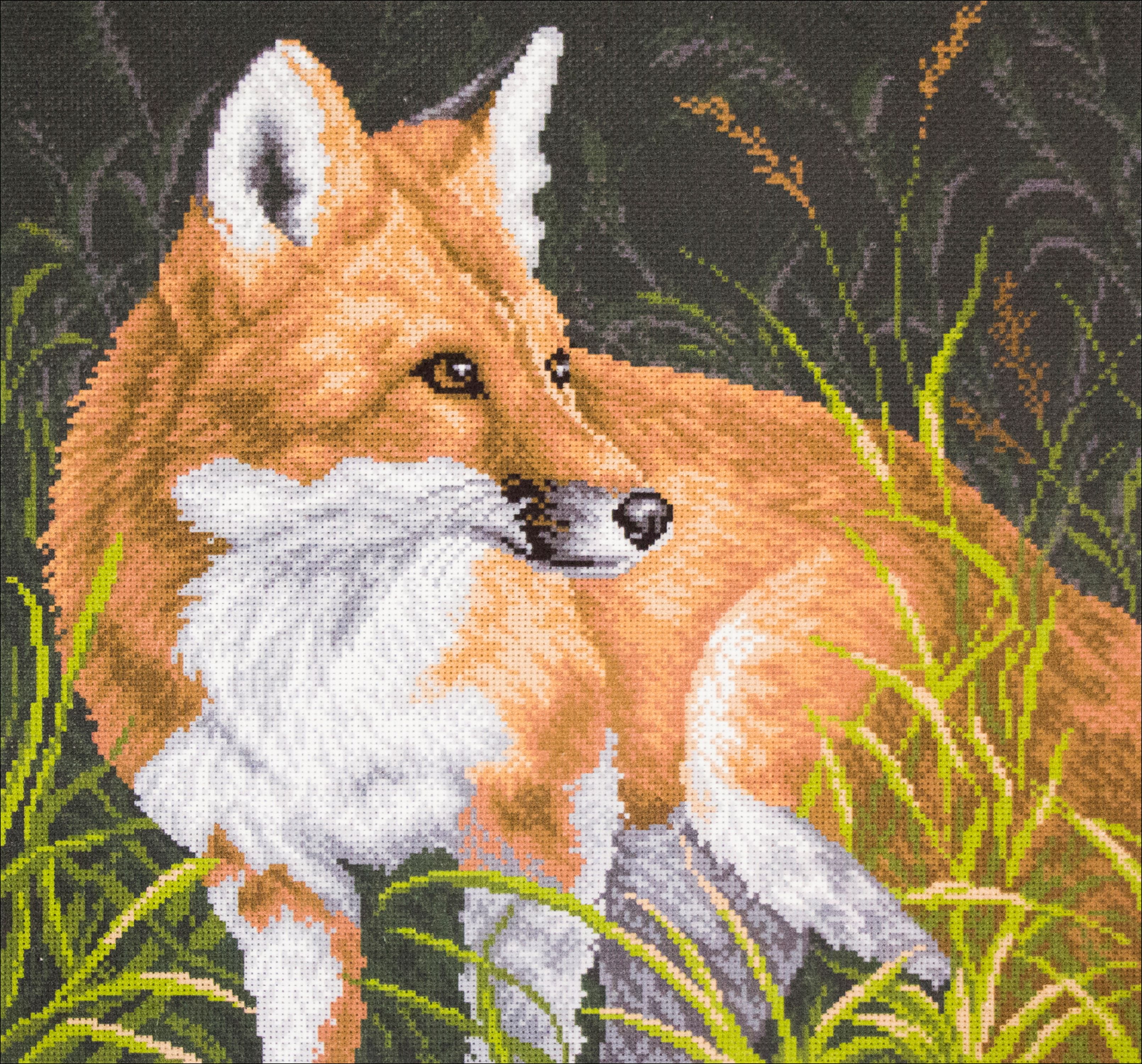 Collection D'Art Stamped Cross Stitch Kit 41X41cmFox