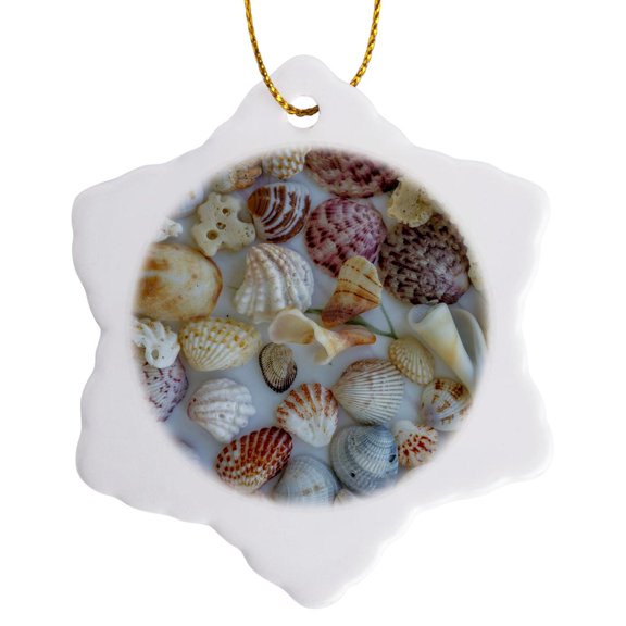 3drose, Collection of Seashells from Sanibel Island in Florida, Usa, 3 inch Snowflake Porcelain Ornament