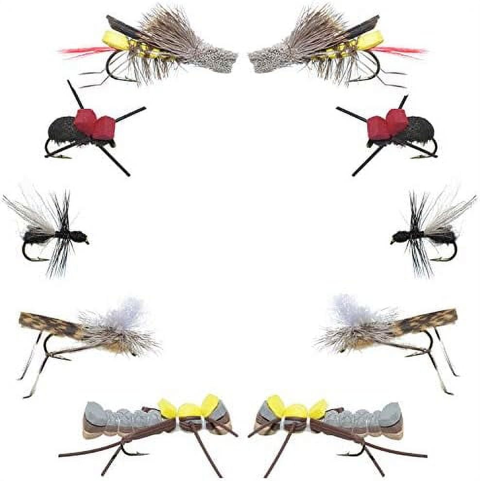 Collection Terrestrials Dry Assortment 10 Dry Flies Hopper, Ant