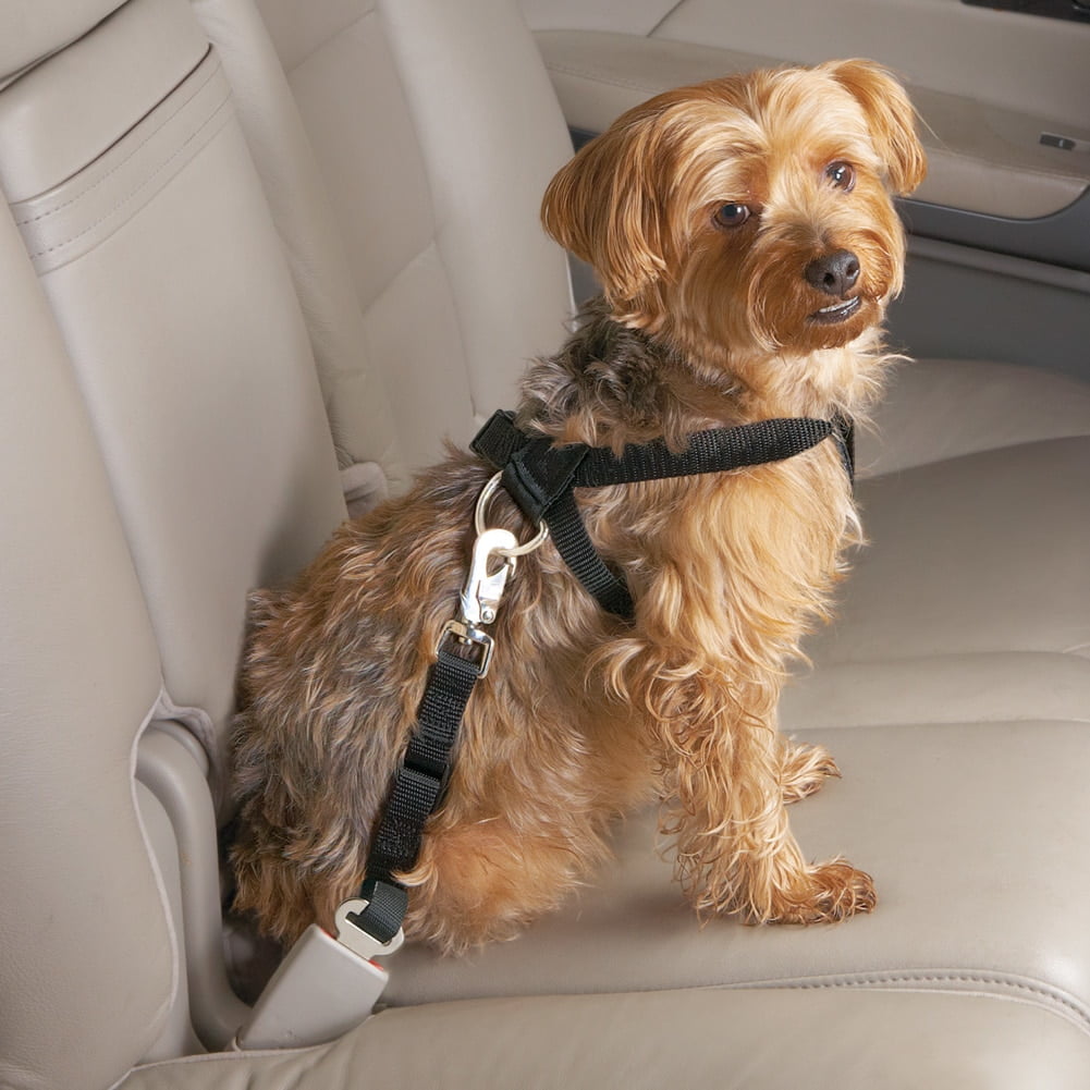 Collections Etc Adjustable Car Dog Safety Harness