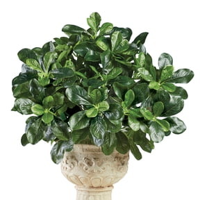 Collections Etc Artificial Shefflera Bushes - Set of 3 - Faux Shrubs, Plants - Realistic Touch, Greenery - For Indoor or Outdoor Use, Home, Garden, Office