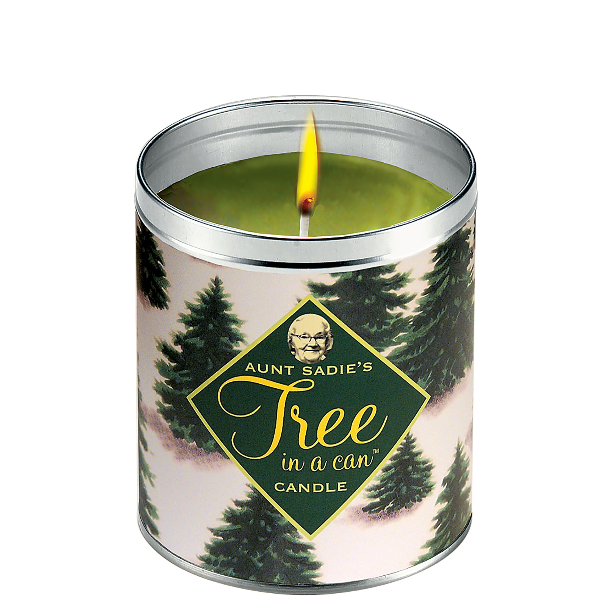 Winter Pine Scented Green Jar Candle in Tin