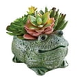 thumbnail image 1 of Collections Etc Charming Frog Planter with Artificial Succulents, 1 of 3