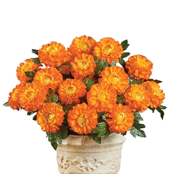 Collections Etc Marigold Mixed Arrangement Bushes - Set of 3 Orange NO SIZE