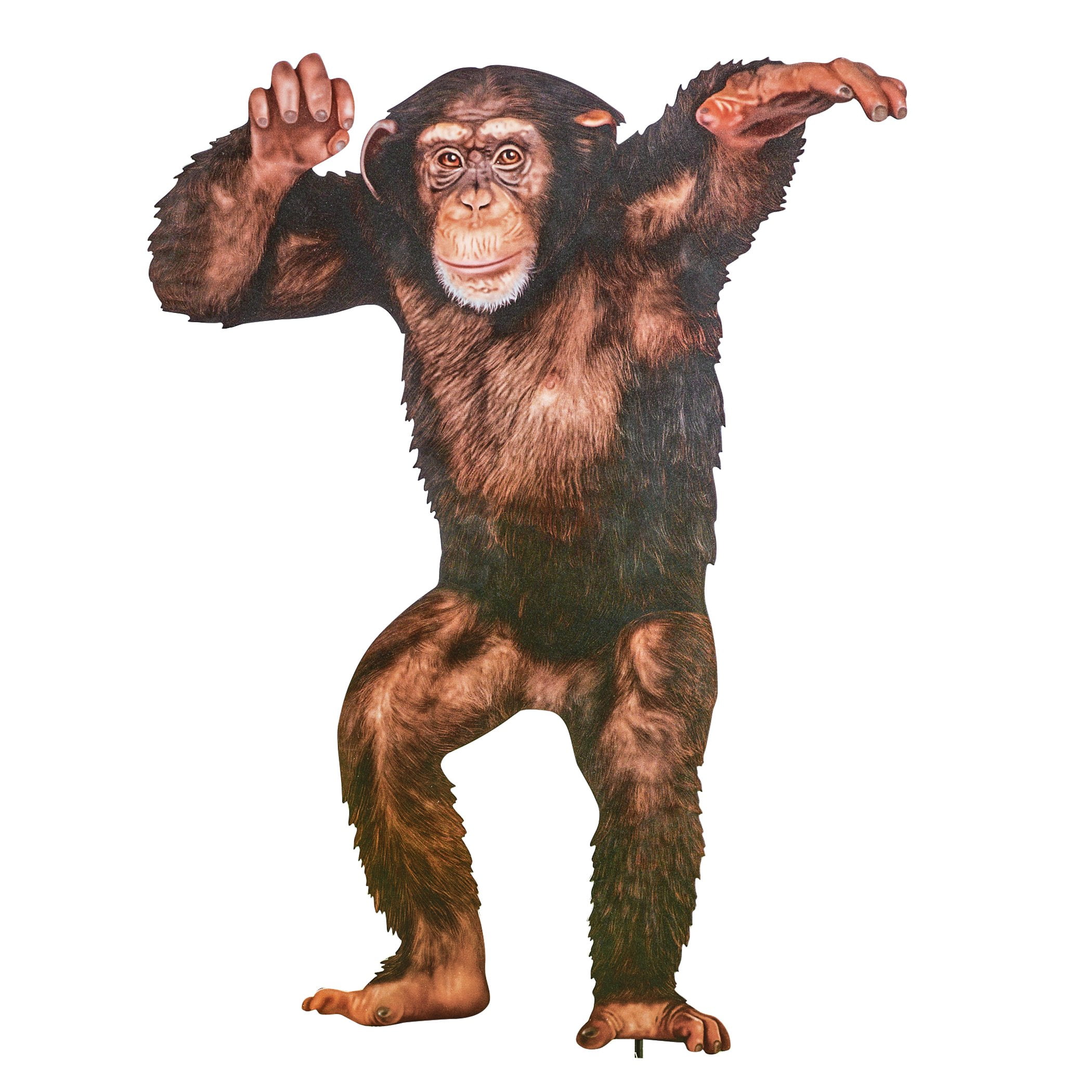 Realistic Standing Chimpanzee Metal Garden Stake
