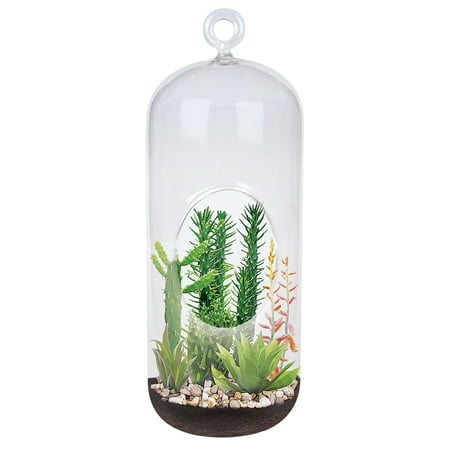 Collections Etc Superb Succulent Garden Easy To Grow Terrarium Kit