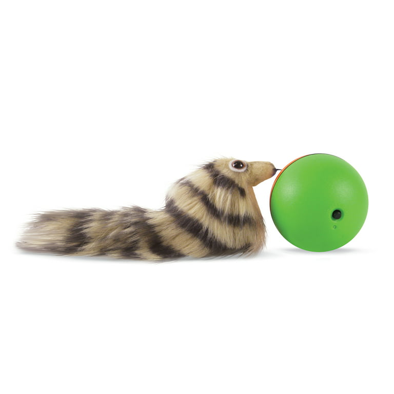 https://i5.walmartimages.com/seo/Collections-Etc-Weasel-Ball-Battery-Operated-Rolling-Pet-Toy-Brown_cb2b8dda-61c3-4964-ab77-c658bdffbec9.f5ef28d6208f43366d40c45592c6af08.jpeg?odnHeight=768&odnWidth=768&odnBg=FFFFFF