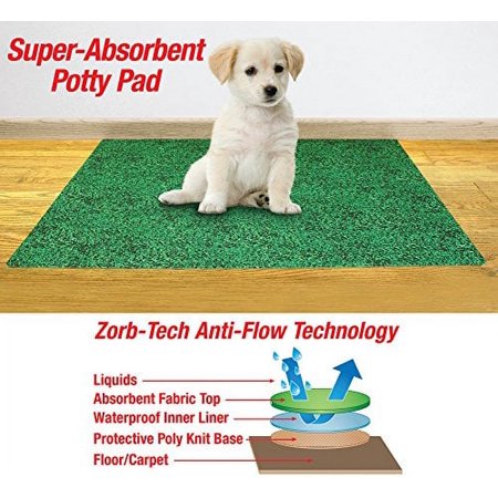 Collections Etc-leak Resistant Potty Pad for Dogs-20&amp;amp;quot;*28&amp;amp;quot;-green