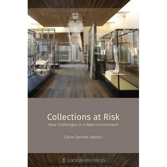 Material and Visual Culture of Ancient Egypt: Collections at Risk : New Challenges in a New Environment (Series #4) (Paperback)