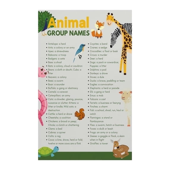 Collactive Names Collective Nouns Chart Animal Group Names Poster Educational Wall Art ...